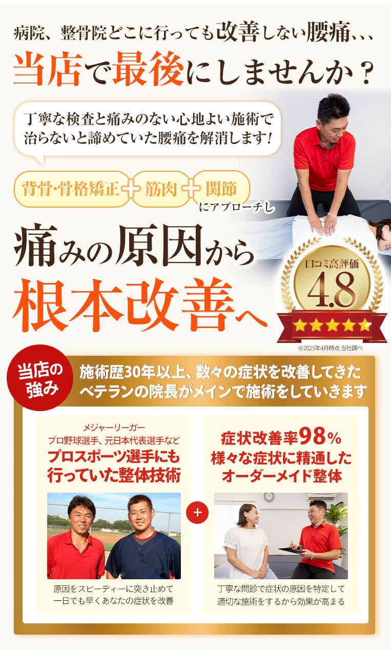 腰痛ファーストビューSP